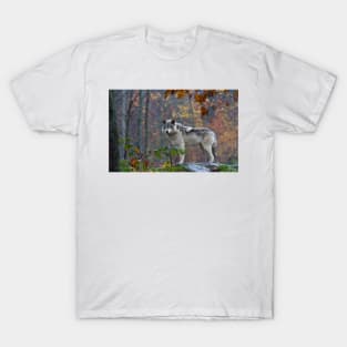 Timber Wolf T-Shirt